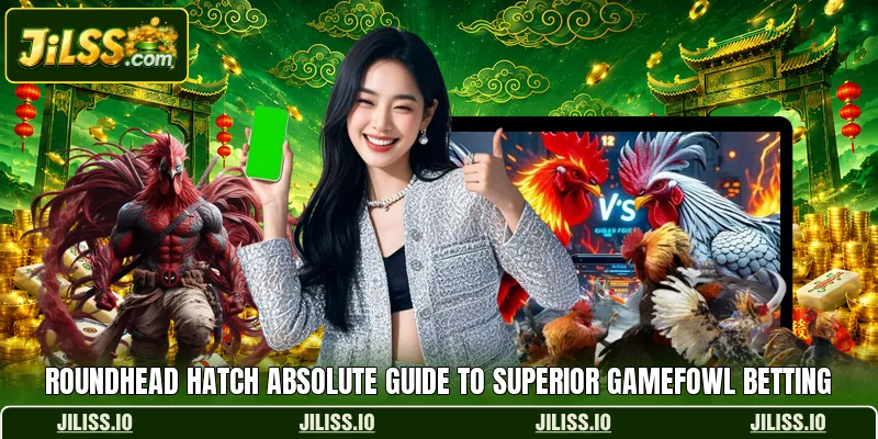 Roundhead Hatch Absolute Guide To Superior Gamefowl Betting